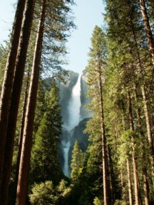 yosemite-national-park