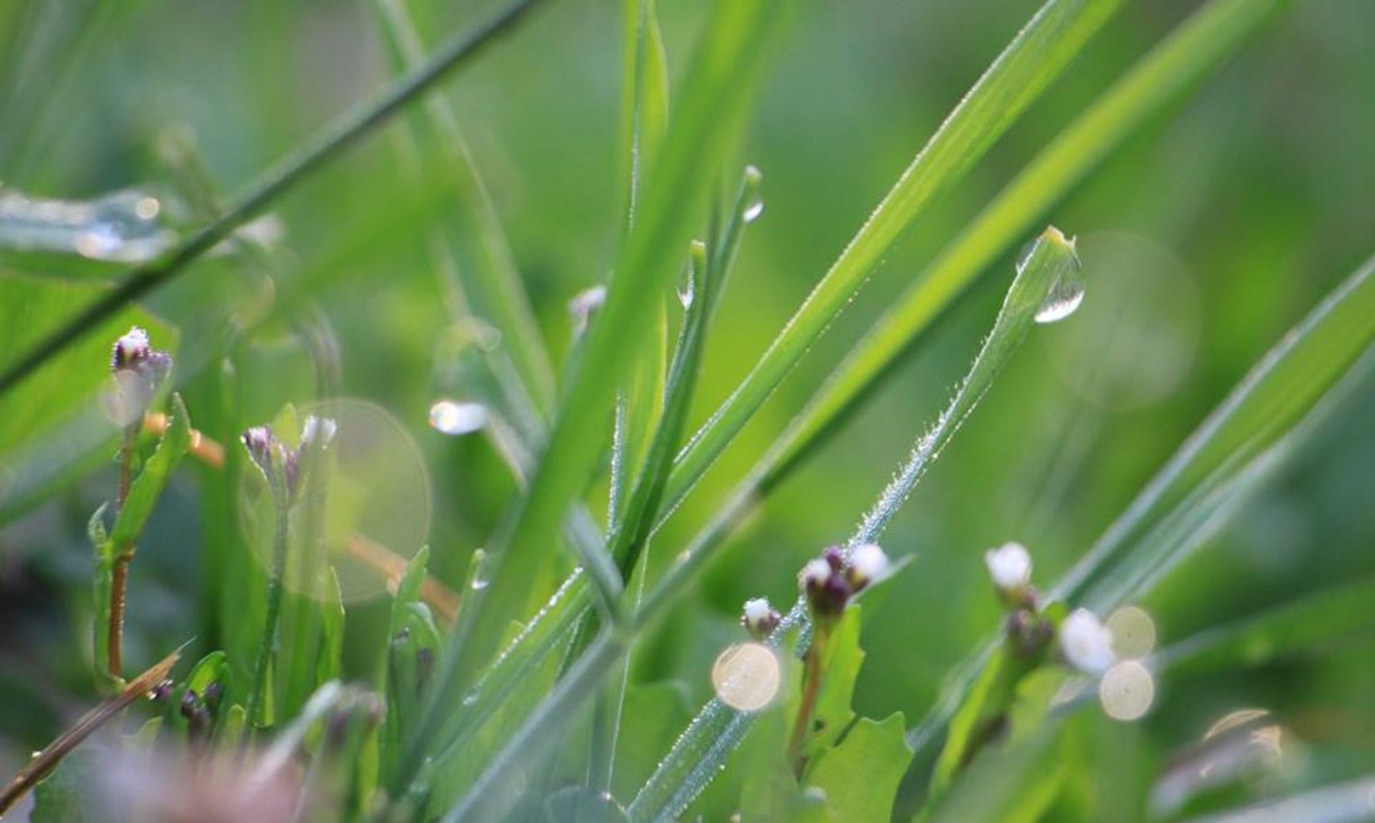 Професионално портфолио