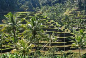 800px-Bali_panorama