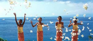 BALI1 (1)