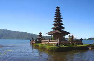 balibali5