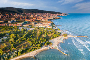 vlas-6448d2
