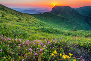 Nature_Balkan_Pliana
