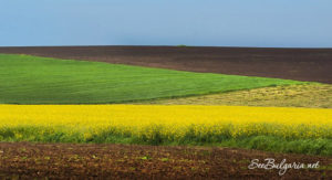 1DSCF1259_s2-575x313