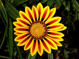 images (2)