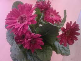 images (3)