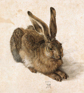 Албрехт Дюрер. „Заек“. 1502