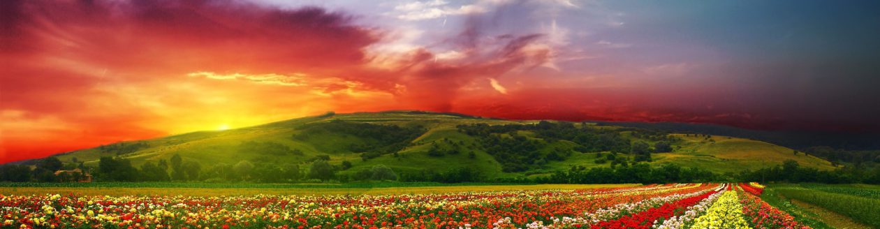 Забележителности в България