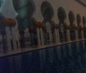 Клуб млад кинолог