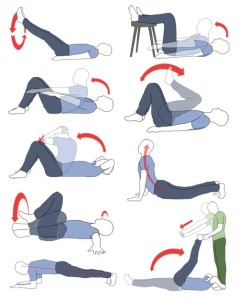 bellyfit