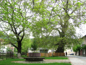 1IMG_0211(2)