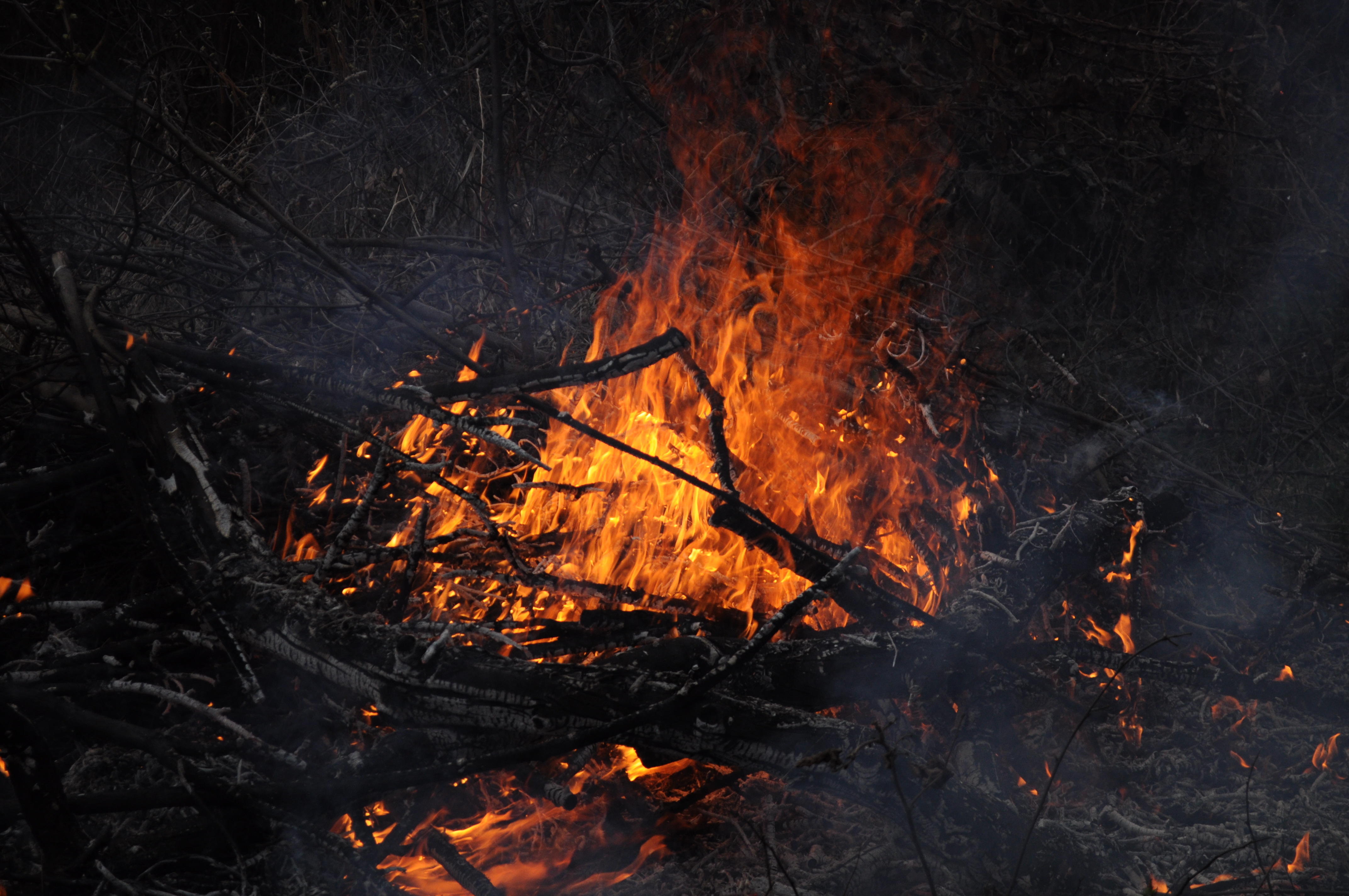 Най-големите природни бедствия Най-големите природни бедствия