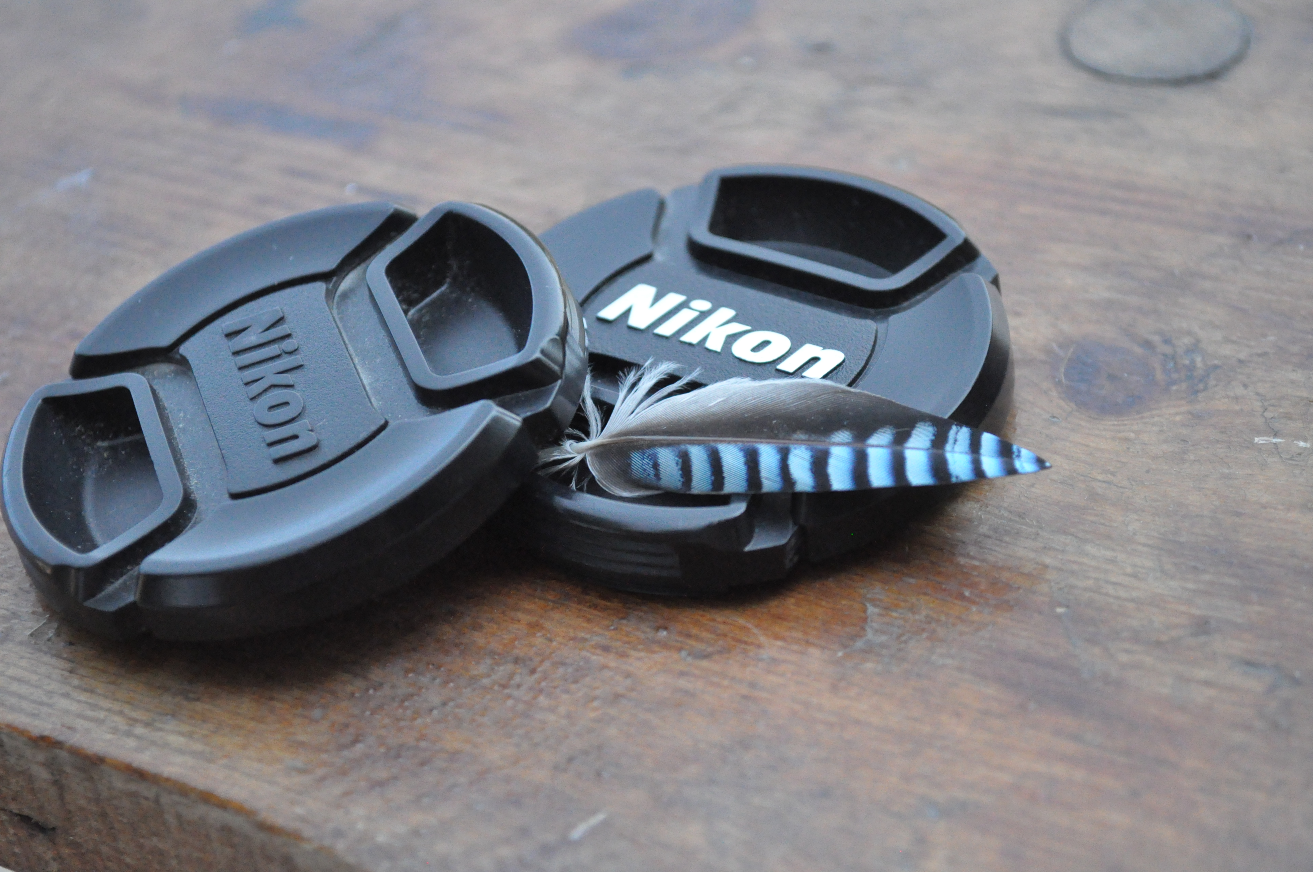 Видове фотография и отделни стилове Видове фотография и отделни стилове