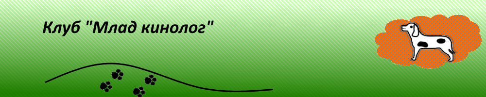 Млад кинолог