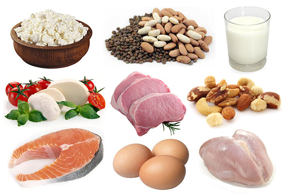 protein-rich-foods