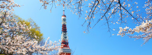 796x290_sight_TOKYO
