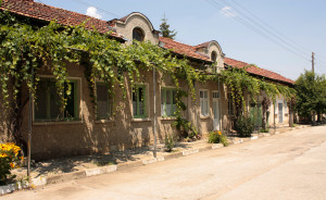 Krushuna-architecture