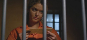 PLL-1-photo-600x280-1-photo-600x280