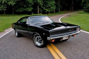 muscle1