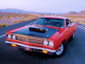 muscle6