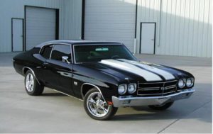 muscle8