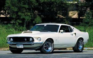 muscle9