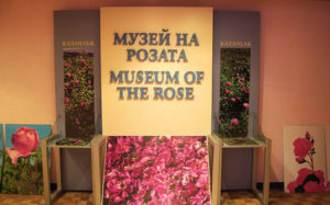 Rose-museum