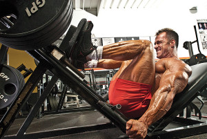 WorkBrain_Leg_Press
