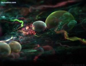 0989353001446291192_504826_600x458_actualno