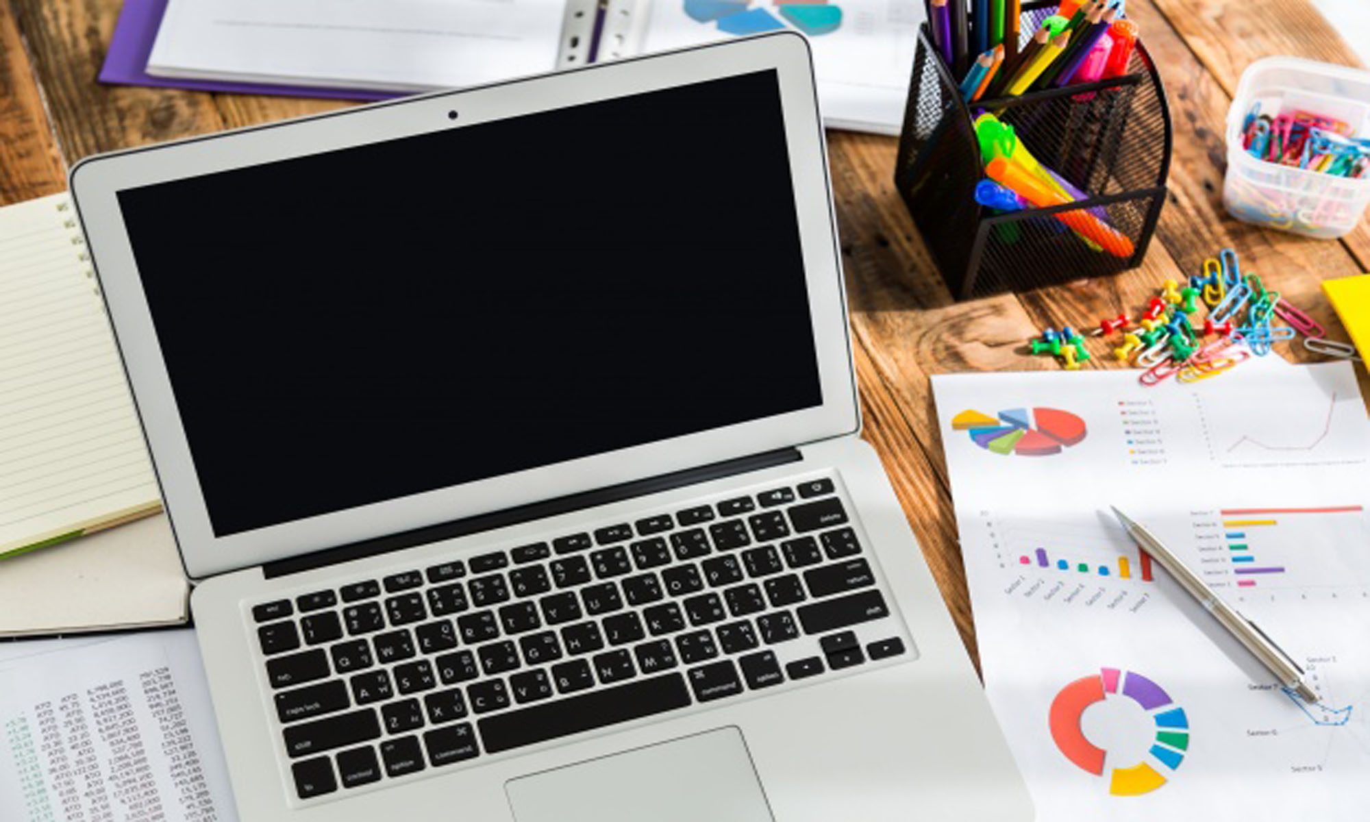 Силвия Янкова