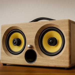 scared-speaker_thumb800