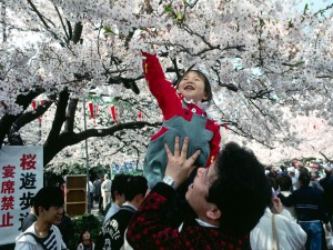 japan_sakura_001_uenopark_hanami