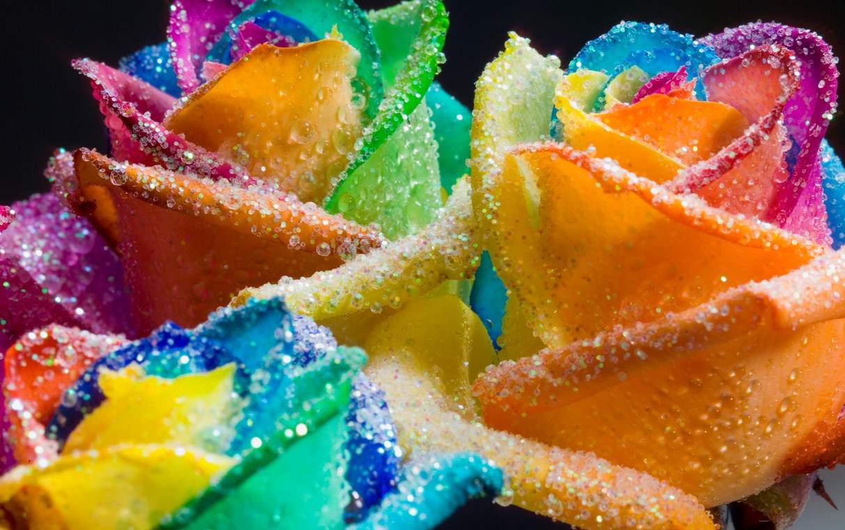 buket rainbow (duga) rozi