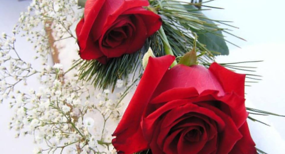 cropped-974946_587398047949001_2015672305_n.jpg