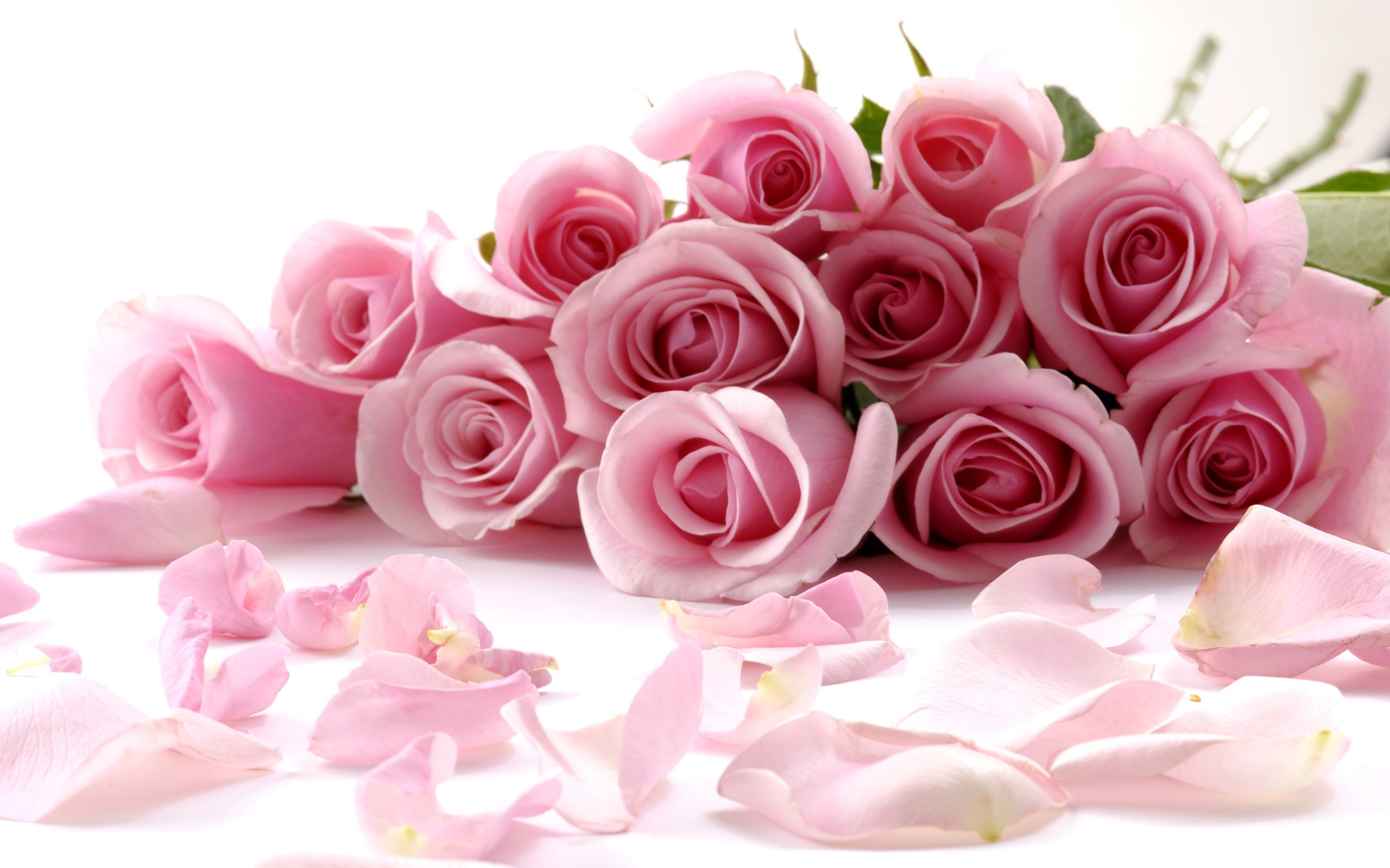 flowers-334