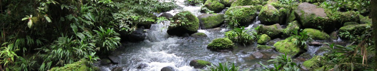 Сайт на класа 7 